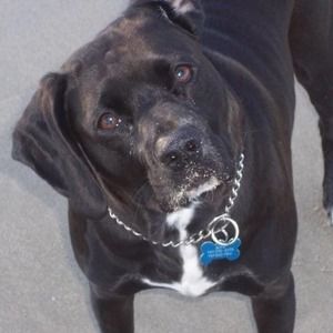 Meet your Posher, Debra